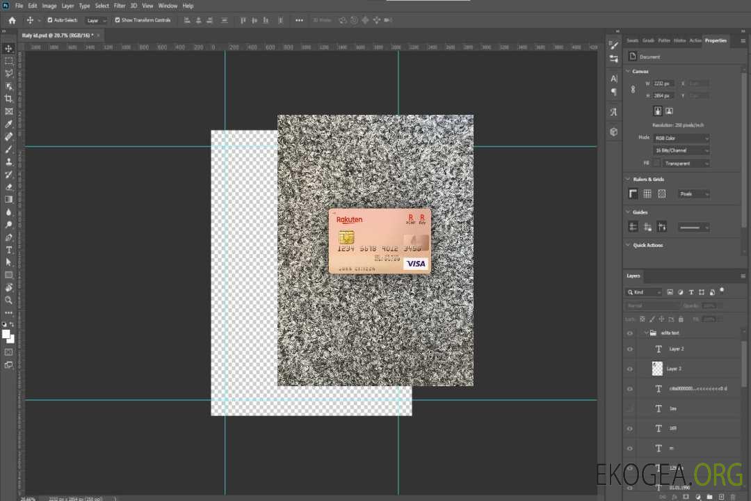Photolook de la carte visa de la Japan Rakuten Bank recto template Photolook de la carte visa de la Japan Rakuten Bank recto template